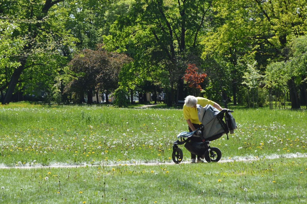 wozki-spacerowe-lekkie2