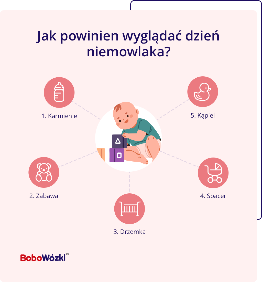 przykłądowy rytm dnia niemowlaka infografika